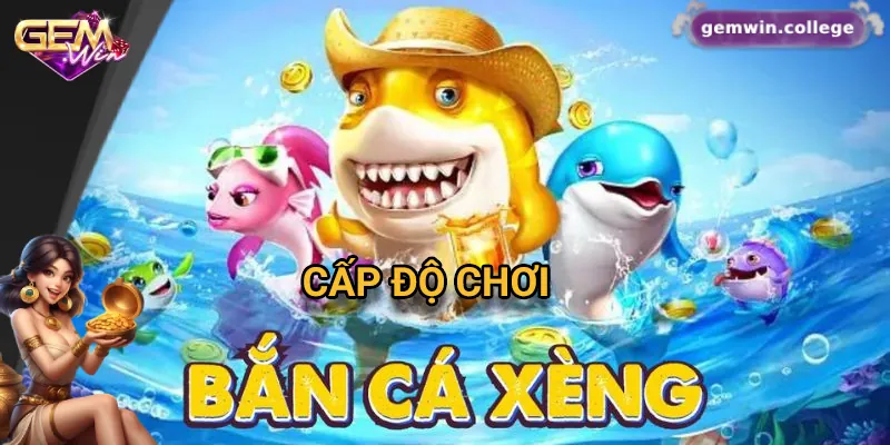 Các cấp độ chơi từ cơ bản đến nâng cao