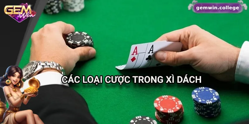 Các loại cược phổ biến trong xì dách tại Gemwin