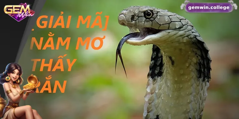 Mơ Thấy Rắn Đánh Con Gì? Gợi Ý Con Số May Mắn 2 Giải mã các giấc mơ về rắn