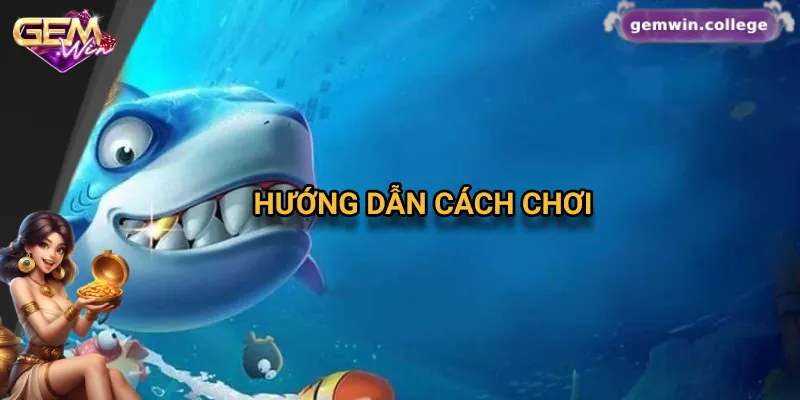 Hướng dẫn từ A đến Z cách chơi bắn cá xèng cơ bản