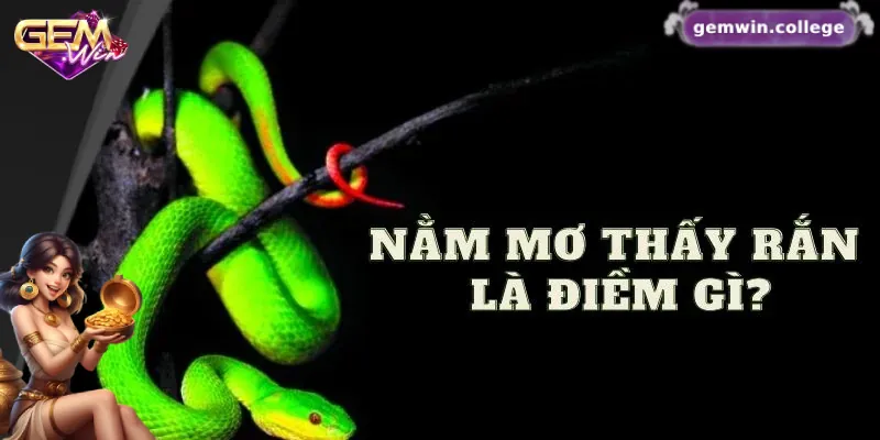 Mơ Thấy Rắn Đánh Con Gì? Gợi Ý Con Số May Mắn 1 Mơ thấy rắn báo hiệu điềm gì?